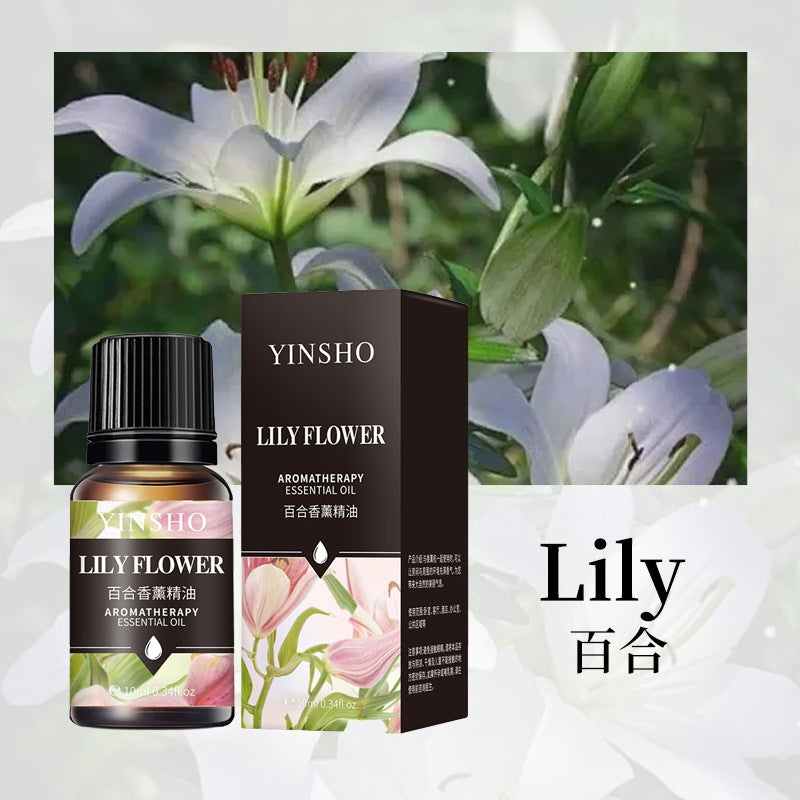 Aromatherapy Essential Oil for Home