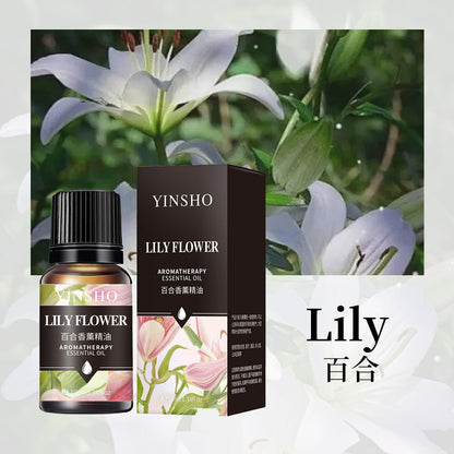 Aromatherapy Essential Oil for Home