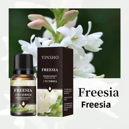 Aromatherapy Essential Oil for Home