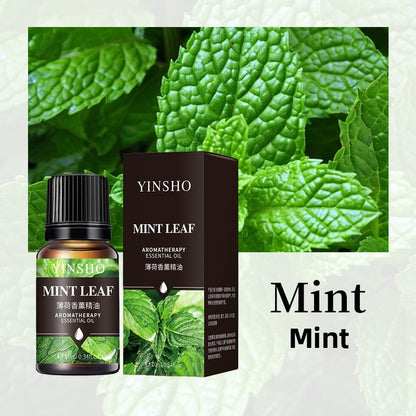 Aromatherapy Essential Oil for Home