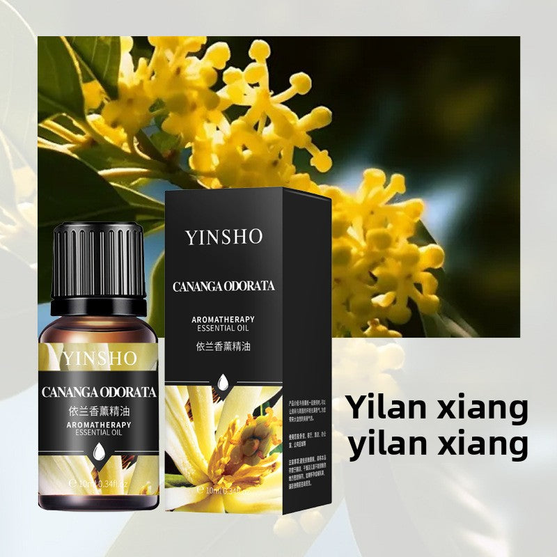 Aromatherapy Essential Oil for Home