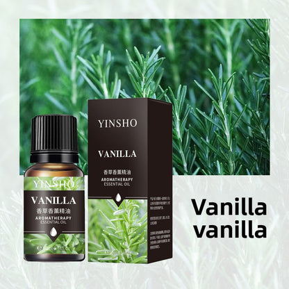 Aromatherapy Essential Oil for Home