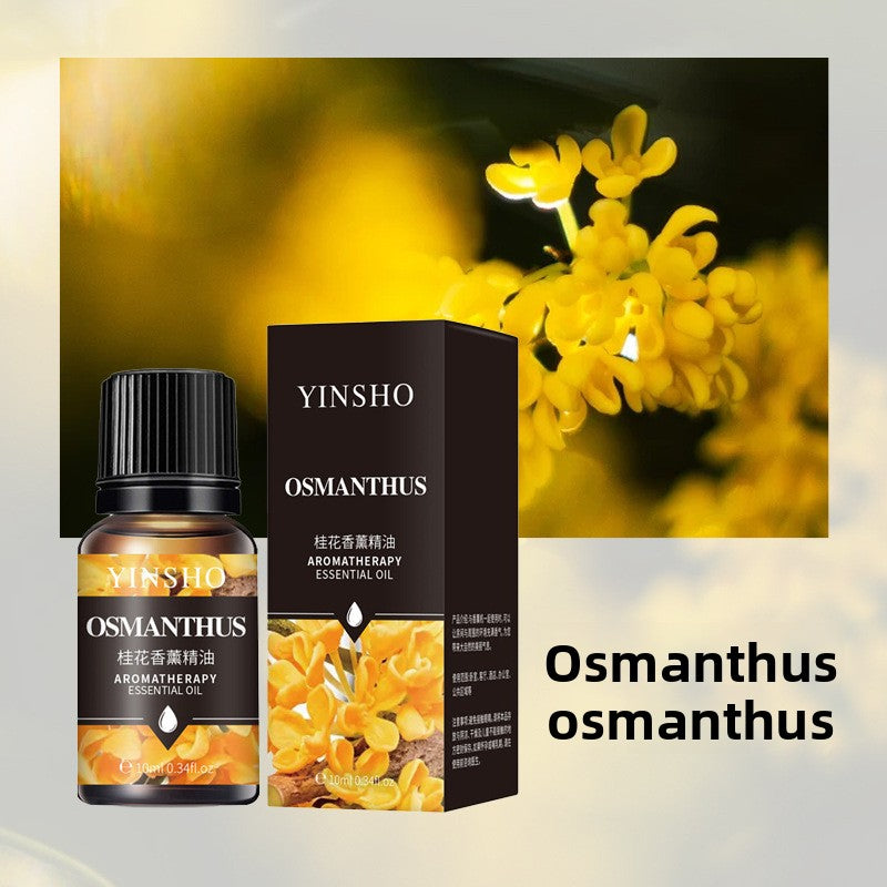 Aromatherapy Essential Oil for Home